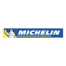 Free Michelin Logo Icon