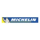 Free Michelin Company Brand Icon