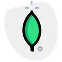 Free Mongodb Technology Logo Social Media Logo Icon