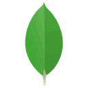 Free Mongodb Original Icon