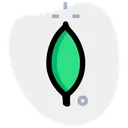 Free Mongodb  Icon