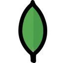 Free Mongodb  Icon