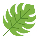 Free Monstera Planta Natureza Ícone
