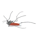 Free Mosquito Insect Bug Icon
