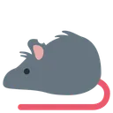 Free Mouse Rat Test Icon