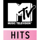 Free Mtv Hits Company Icon