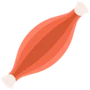 Free Musculo Organo Humano Musculos Icono