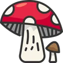Free Mushroom Nutrition Fungi Icon
