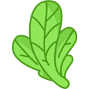 Free Mustard greens  Icon