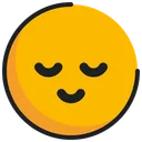 Free Emoticon Emoji Nachdenklich Icon