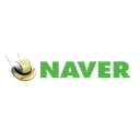 Free Naver Company Brand Icon