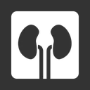 Free Nephrology  Icon