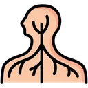 Free Nervous System Human Icon