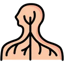 Free Nervous System Human Icône