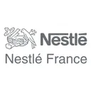 Free Nestle France Logo Icon
