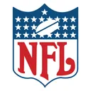 Free NFL Unternehmen Marke Icon