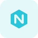 Free Nginx Technology Logo Social Media Logo Icon