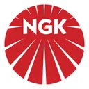 Free Ngk Company Brand Icon