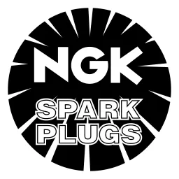 Free Ngk Logo Icon