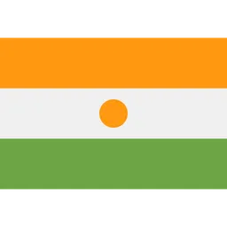 Free Niger Flag Icon