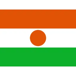 Free Niger Flag Icon