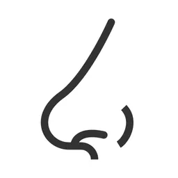 Free Nose  Icon