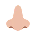 Free Nose Male Man Icon