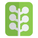 Free Noticiasvine  Icono