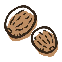 Free Nutmeg  Icon