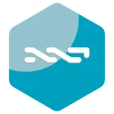 Free Nxt Coin Cryptocurrency Icon