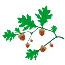 Free Oak Leaf  Icon