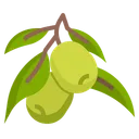 Free Aceituna  Icono