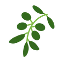 Free Olive Oil Food Icon
