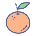 Free Orange  Icon