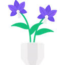 Free Orchid Icon