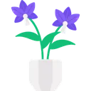 Free Orchidee Symbol