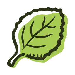 Free Oregano leaf  Icon