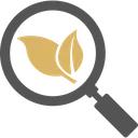 Free Organic Search Icon