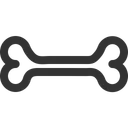 Free Osso Anatomia Corpo Ícone