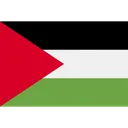 Free Palestine Asian Palestinian Icon