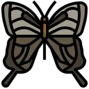 Free Papilio Machaon Insect Collecting Entomology Icon