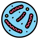 Free Parasite Bacteria Virus Biology Scientific Icon