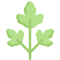 Free Parsley  Icon