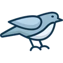 Free Passero Twitter Social Icon