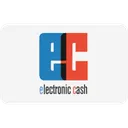 Free Payment Electronic Cash Icon