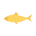 Free Peixes Frutos Do Mar Cuidados De Saude Ícone