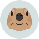 Free Animal Pet Tortoise Icon