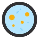 Free Petri Dish  Icon