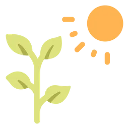 Free photosynthesis online