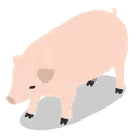 Free Pig Icon